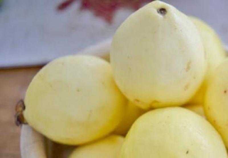 فوائد الجوافة الصحية
